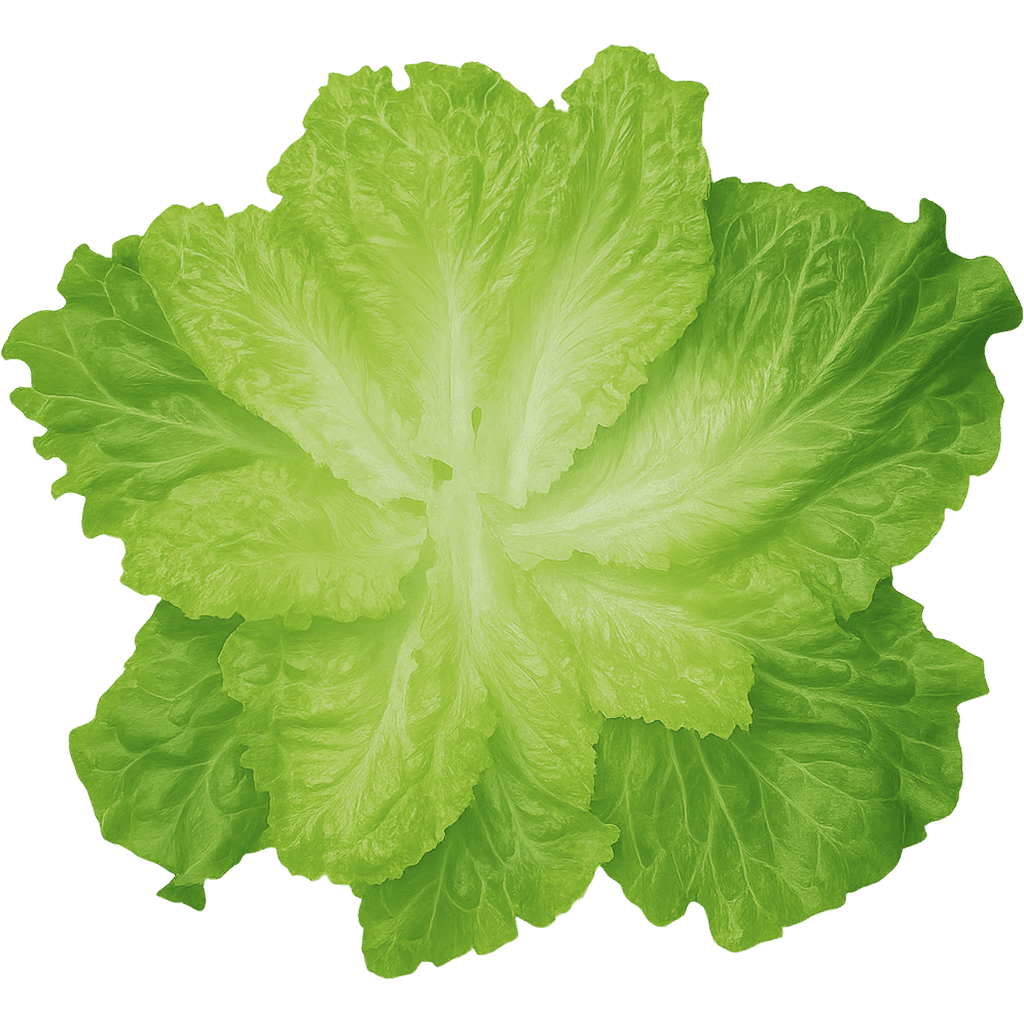 art-Lush Leaf