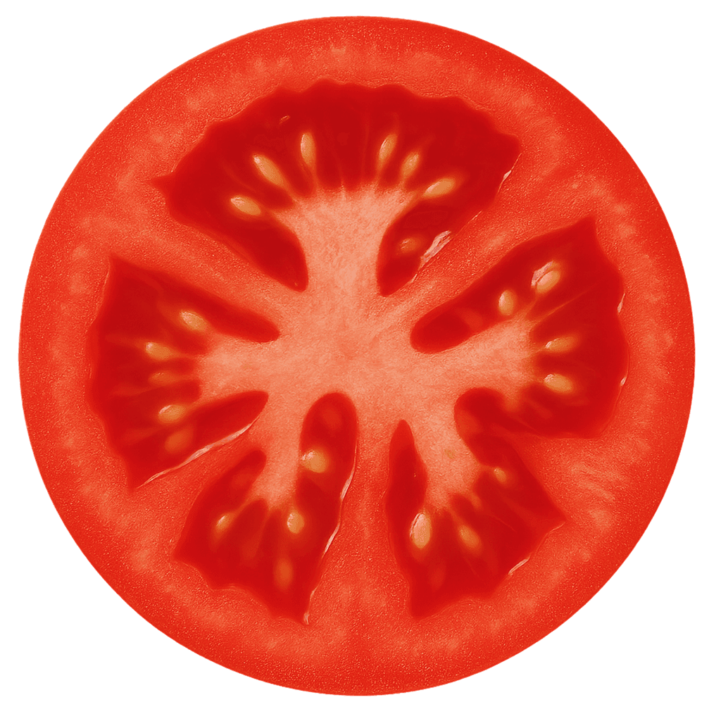 art-Core Burst