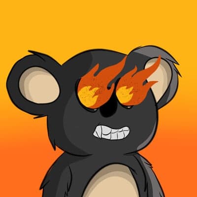 art-Krypto Koala