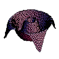 art-Based Wormhole