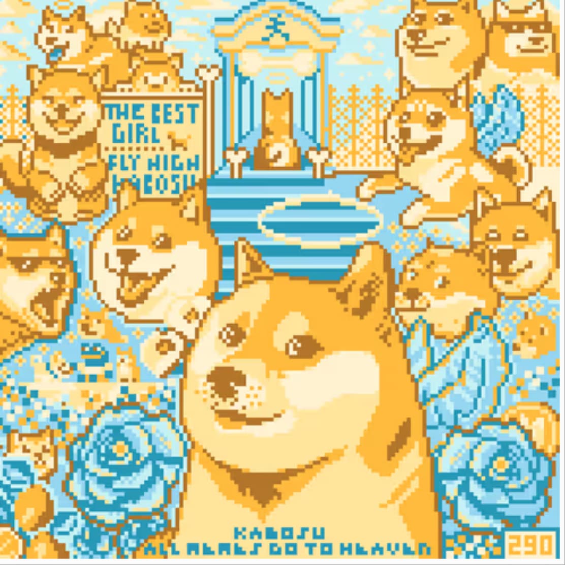 shiba
