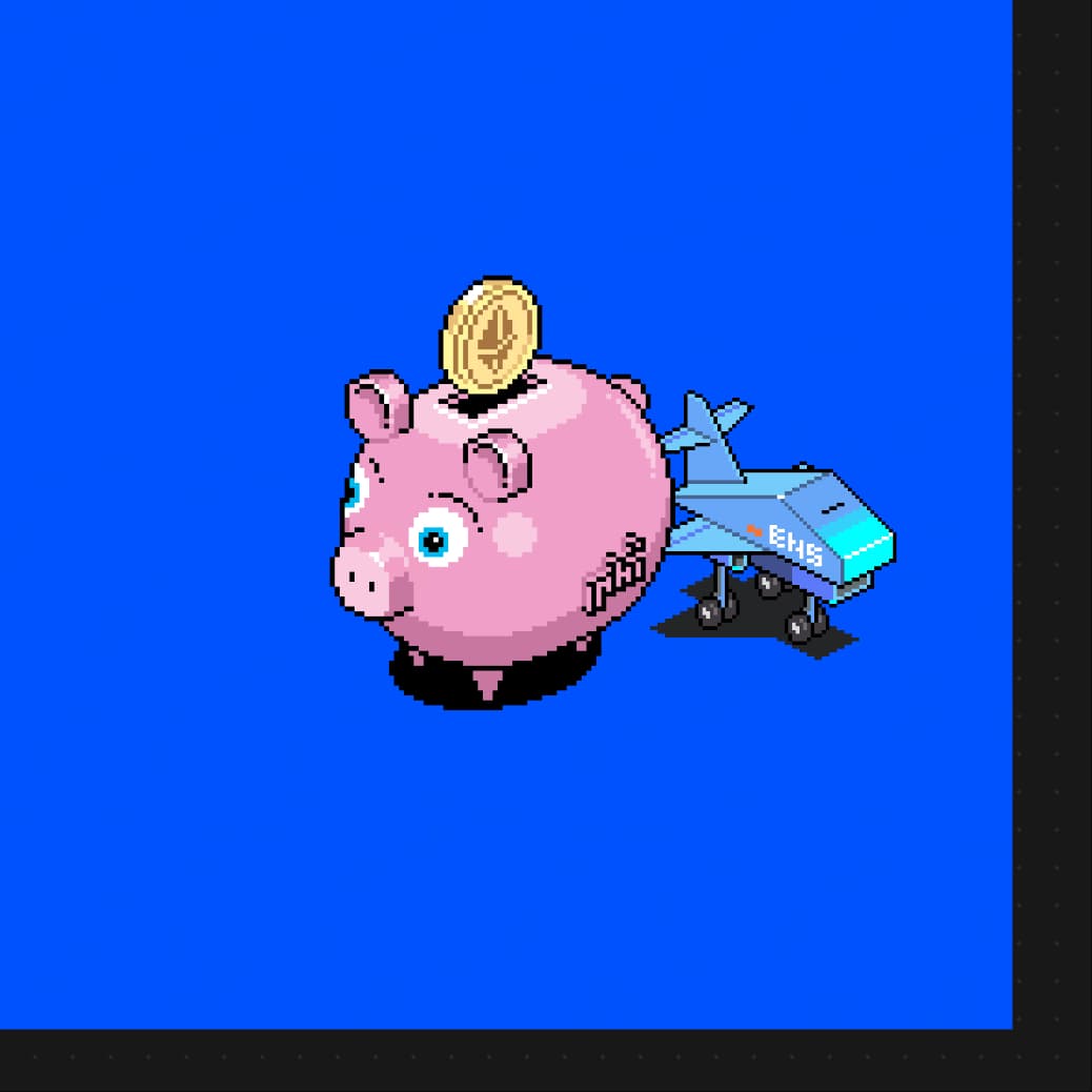 fly pig 