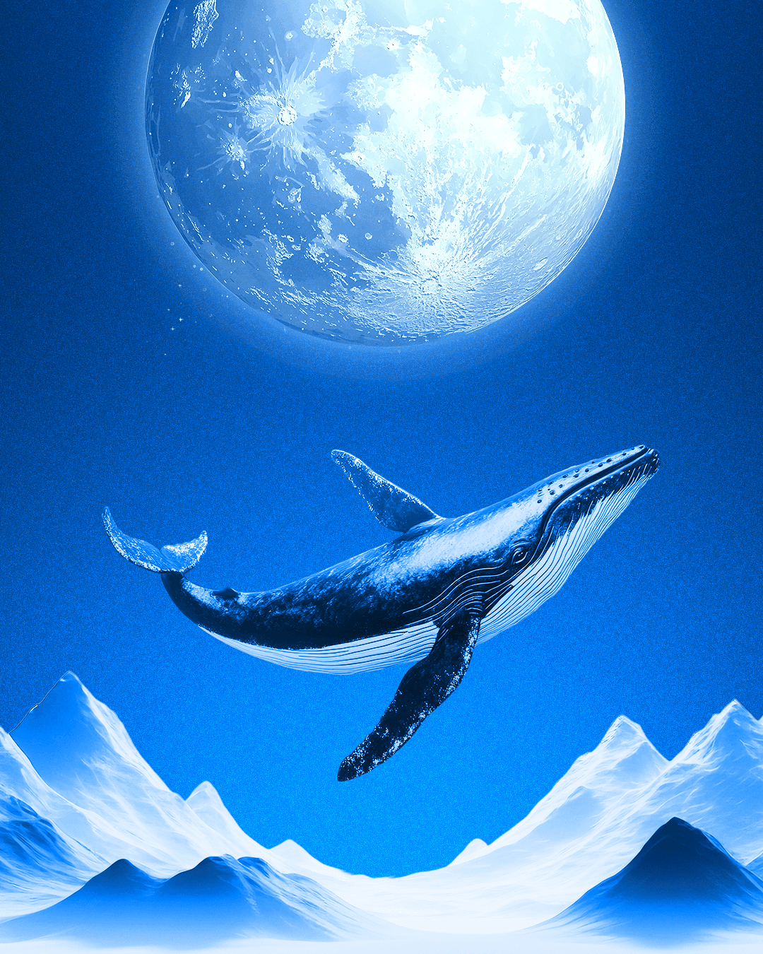 art-Moons, Whales & Trenches: A Portrait of Crypto